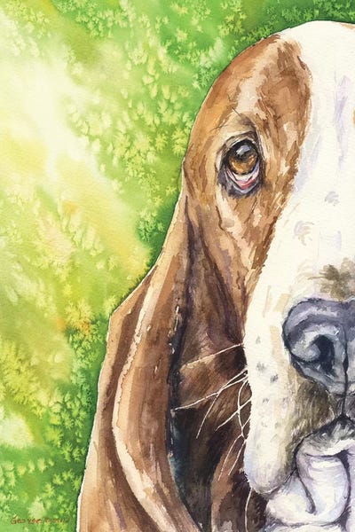 Basset On Green by George Dyachenko canvas print