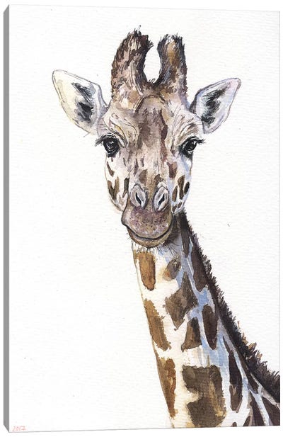 Giraffe On White Canvas Art Print - George Dyachenko