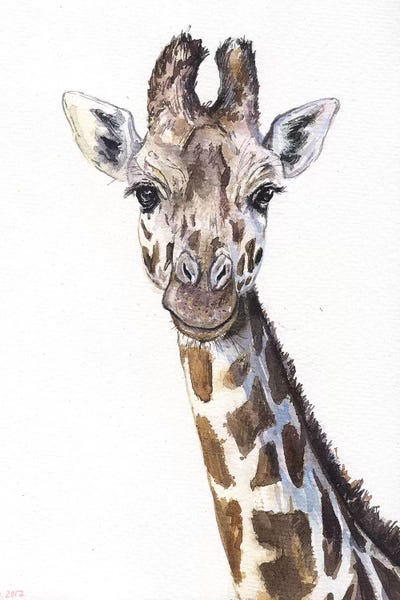 Giraffes: Giraffe On White by George Dyachenko