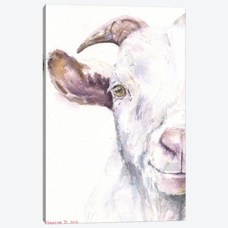 Goat Canvas Print #GDY81} by George Dyachenko Canvas Print