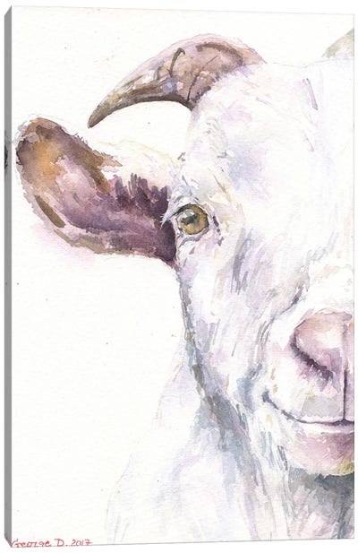 Goat Canvas Art Print - George Dyachenko