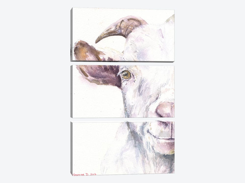 Goat by George Dyachenko 3-piece Canvas Print