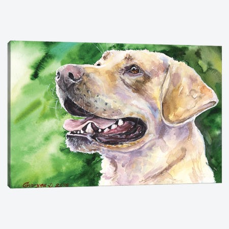 Golden Labrador I Canvas Print #GDY82} by George Dyachenko Canvas Print
