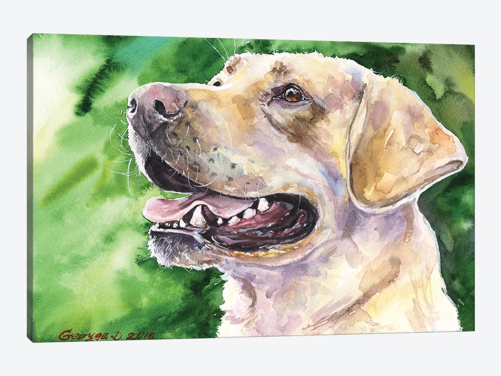 Golden Labrador I by George Dyachenko 1-piece Canvas Artwork