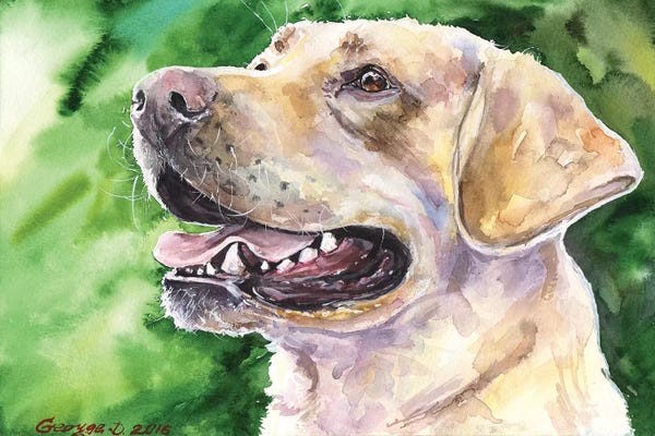 Labrador Retrievers: Golden Labrador I by George Dyachenko