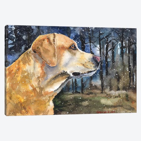 Golden Labrador II Canvas Print #GDY83} by George Dyachenko Canvas Art Print