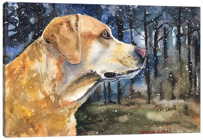 Golden Labrador II Canvas Art Print - George Dyachenko