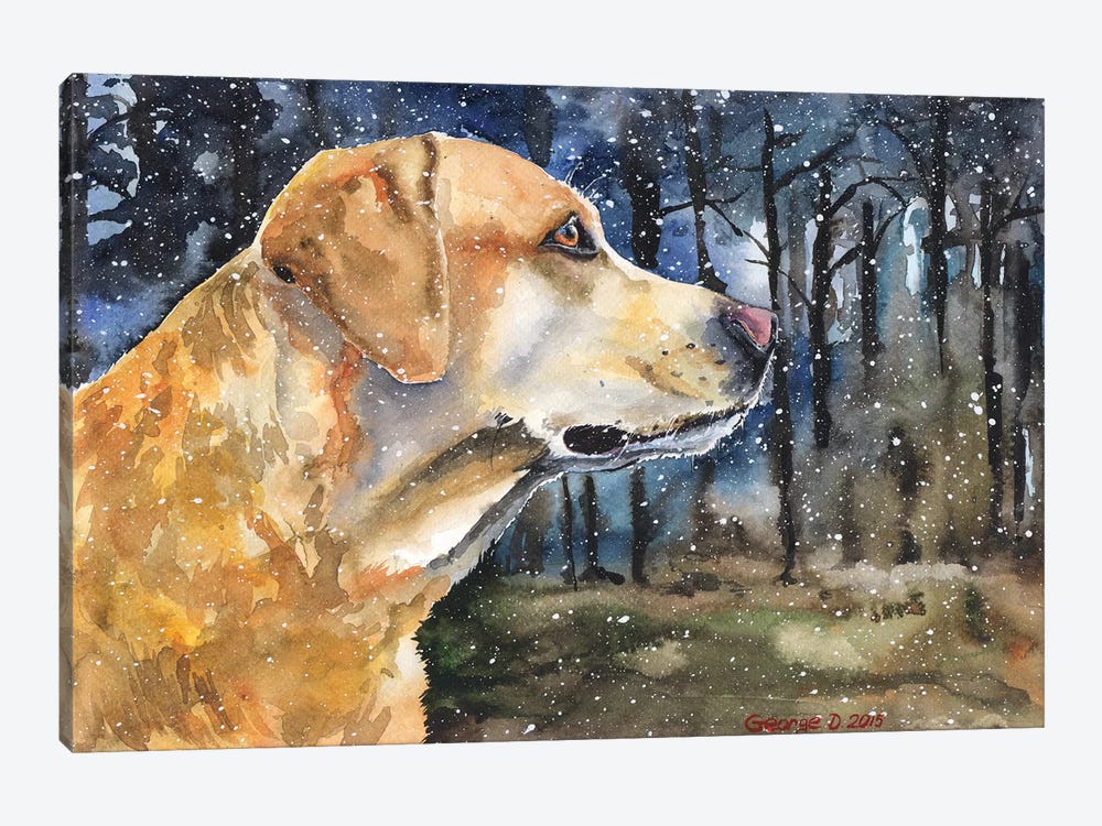 Golden Labrador II by George Dyachenko 1-piece Canvas Print