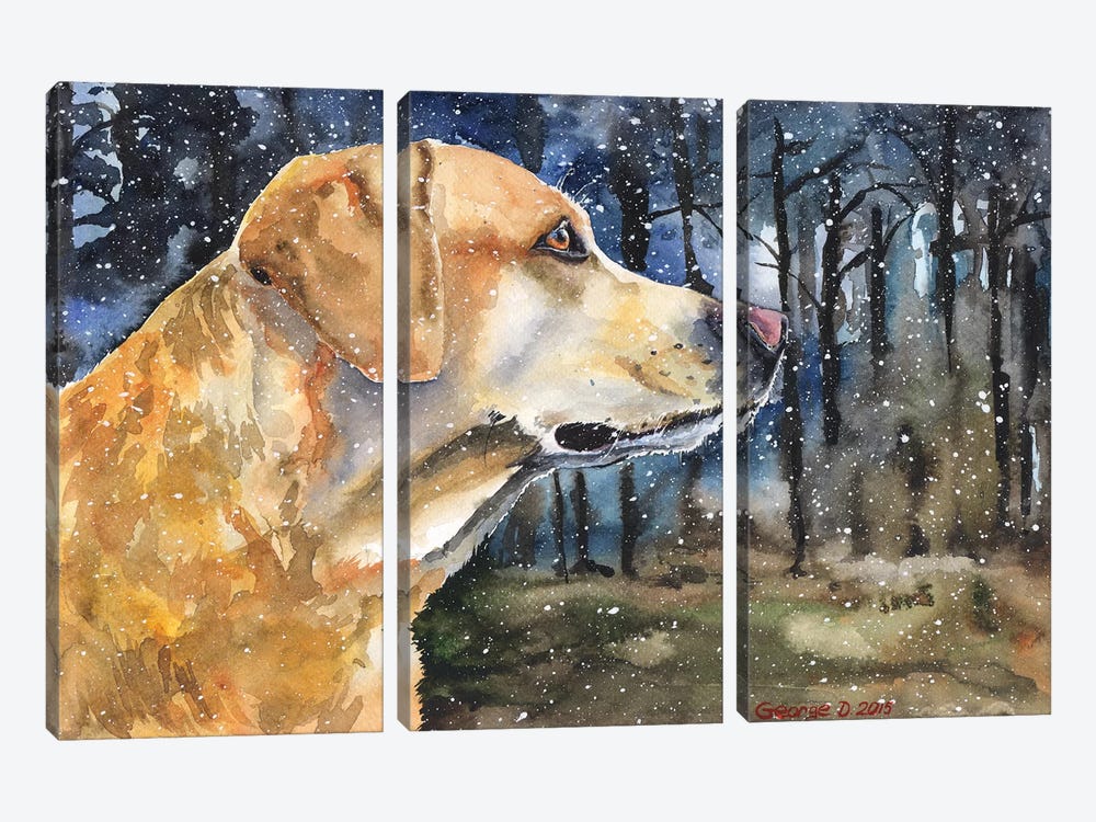 Golden Labrador II by George Dyachenko 3-piece Canvas Print