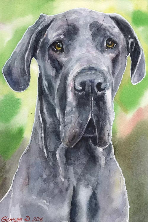 Great Dane I by George Dyachenko wall art