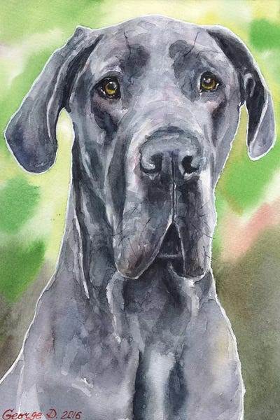 Great Danes: Great Dane I by George Dyachenko