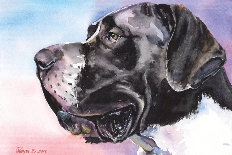 Great Dane II by George Dyachenko wall art