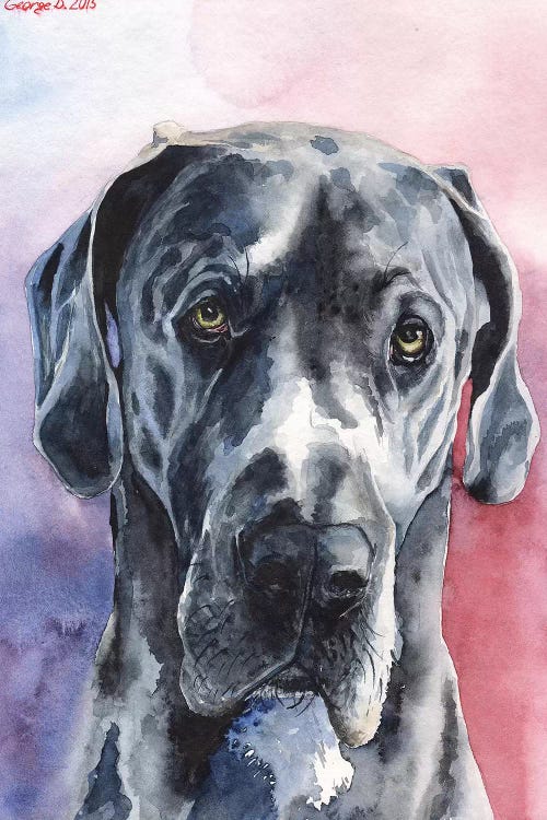 Great Dane III by George Dyachenko wall art