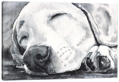 Happy Dreams Canvas Art Print - Best Selling Dog Art
