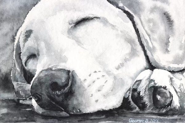 Labrador Retrievers: Happy Dreams by George Dyachenko