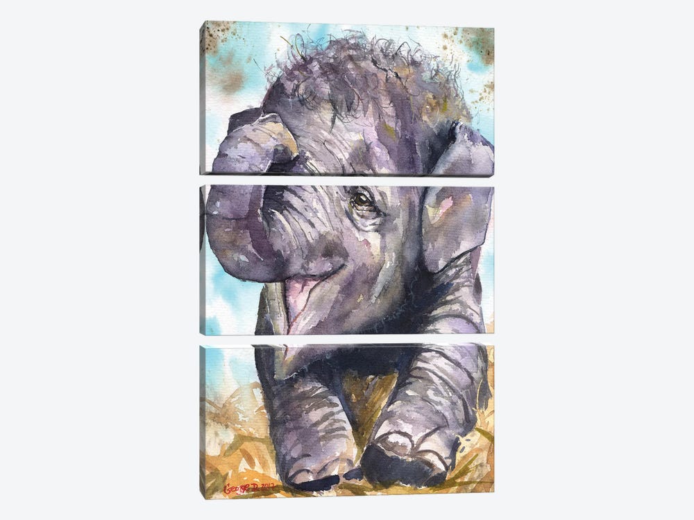 Happy Elephant by George Dyachenko 3-piece Canvas Art