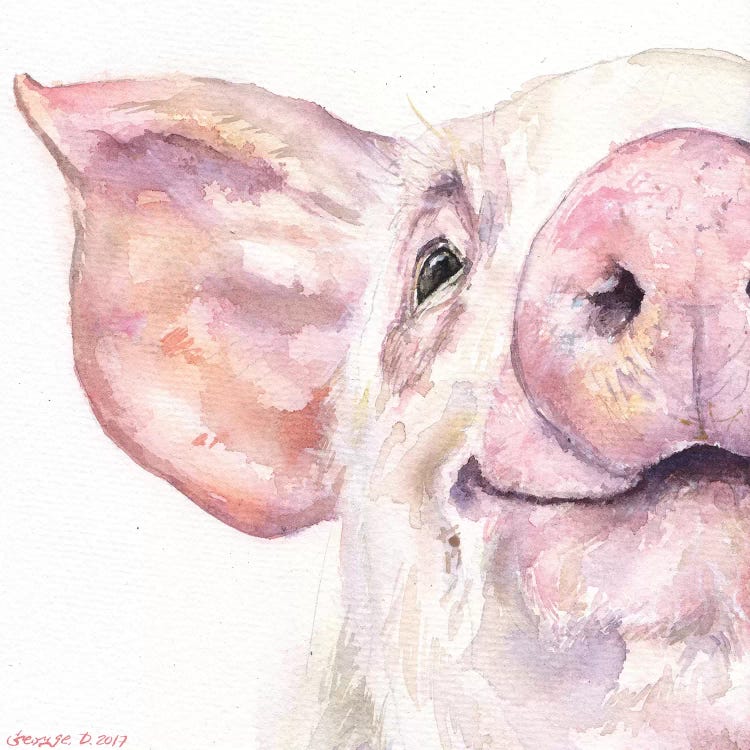 Happy Pig by George Dyachenko wall art