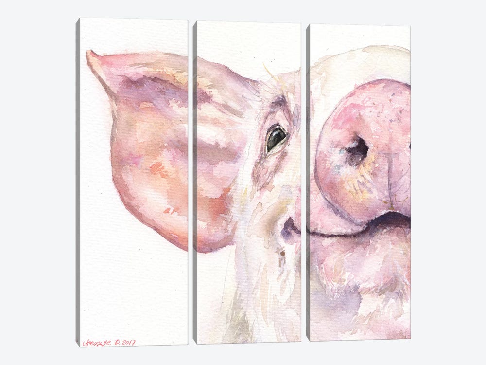 Happy Pig by George Dyachenko 3-piece Canvas Print