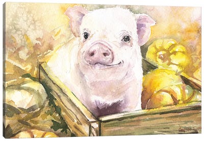Happy Piggy III Canvas Art Print - Pig Art