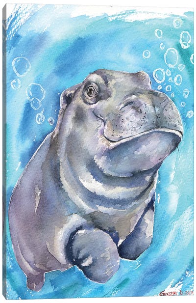 Hippo Baby I Canvas Art Print - Hippopotamus Art