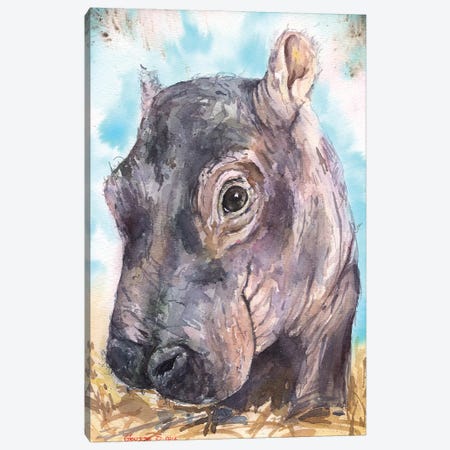 Hippo Baby II Canvas Print #GDY96} by George Dyachenko Canvas Art Print