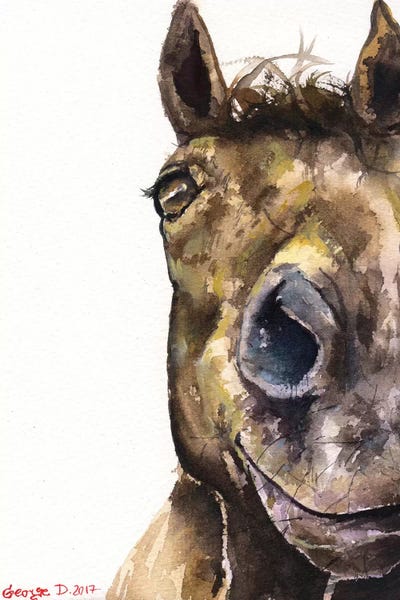 Horse by George Dyachenko framed canvas print