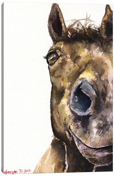 Horse Canvas Art Print - George Dyachenko