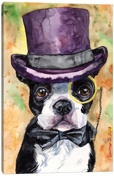 Intelligent Boston Terrier Canvas Art Print - George Dyachenko