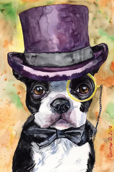Terriers: Intelligent Boston Terrier by George Dyachenko
