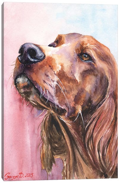 Corgi Dog Lolling Tongue Graphite Pencil Sketch On Canvas by George  Dyachenko Print