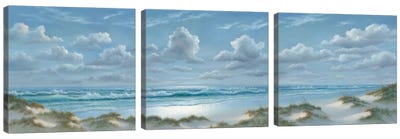 Shoreline Triptych Canvas Art Print - Calm & Sophisticated Living Room Art