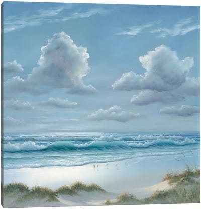 Shoreline II Canvas Art Print