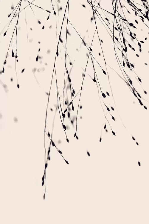 Black Grass Blush by Monika Strigel wall art