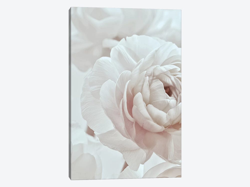 Blossom White I by Monika Strigel 1-piece Canvas Art