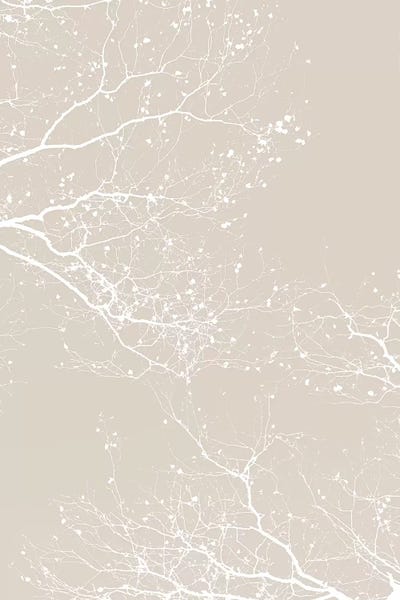 Tree Close-Ups: Branches New Natural by Monika Strigel