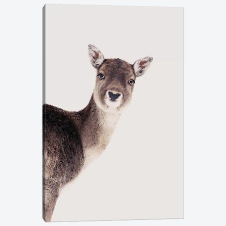 Deer Peekaboo Rose Canvas Print #GEL137} by Monika Strigel Canvas Artwork