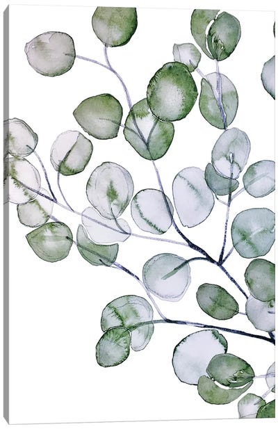 Eucalyptus Watercolor Canvas Art Print - Nature Close-Up Art
