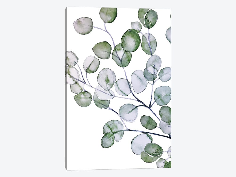 Eucalyptus Watercolor by Monika Strigel 1-piece Canvas Art Print