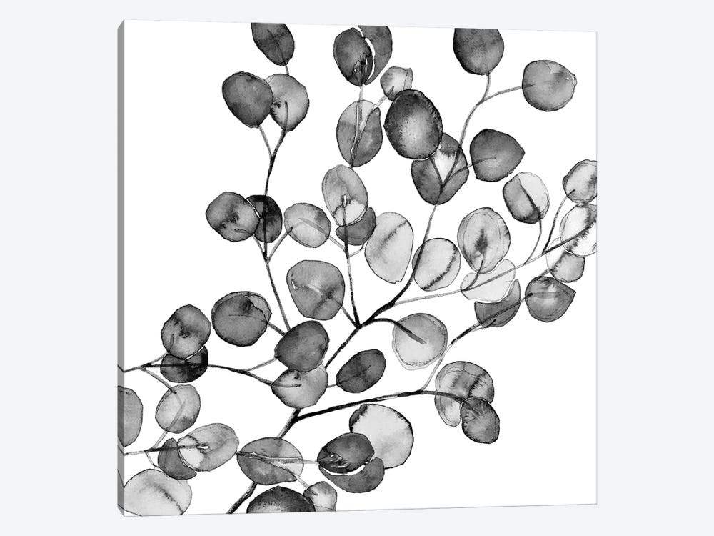 Eucalyptus Watercolor Black And White Square by Monika Strigel 1-piece Canvas Wall Art