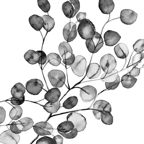 Minimalist Photography: Eucalyptus Watercolor Black And White Square by Monika Strigel