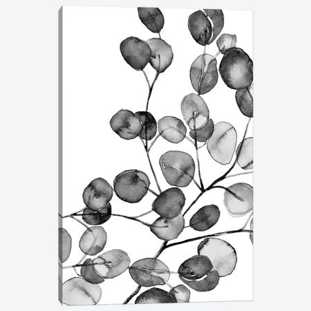 Eucalyptus Watercolor Black And White Canvas Print #GEL149} by Monika Strigel Canvas Wall Art
