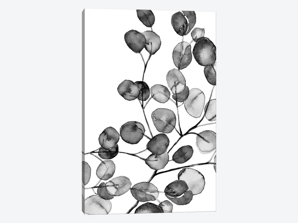 Eucalyptus Watercolor Black And White by Monika Strigel 1-piece Canvas Art Print