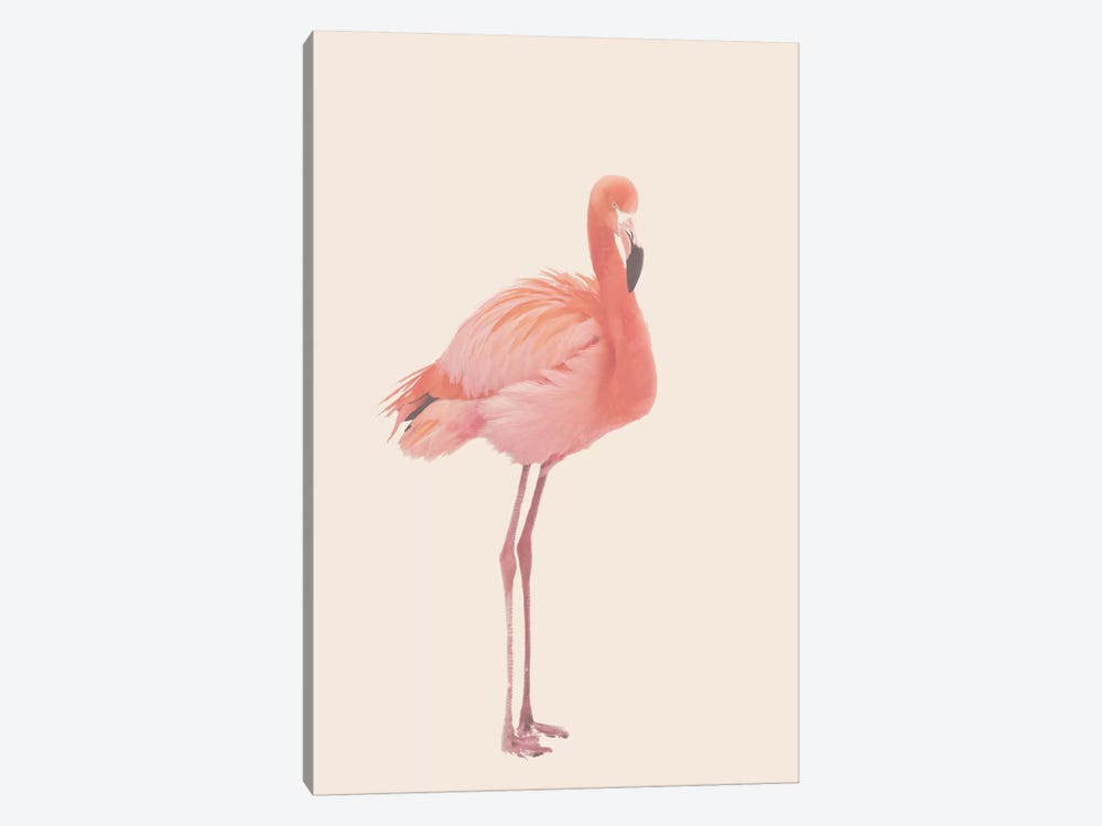 Flamingo In Snow Rose by Monika Strigel 1-piece Art Print