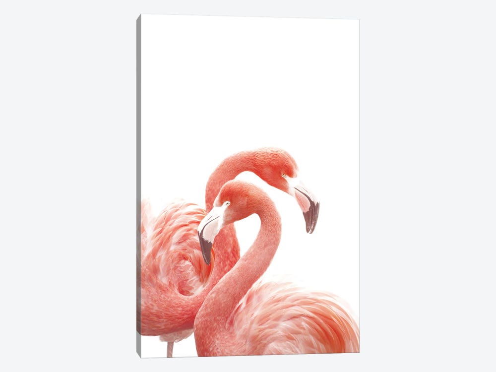 Flamingos White by Monika Strigel 1-piece Canvas Wall Art