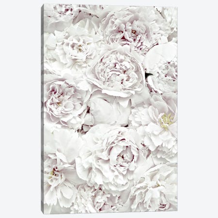 Flowers Peony White Canvas Print #GEL173} by Monika Strigel Canvas Art Print