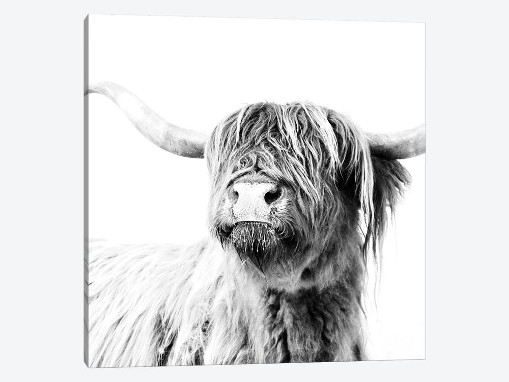 Highland Cattle Frida Black And White Square 1-piece Art Print
