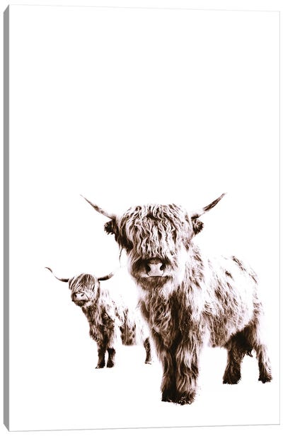 Highland Cows Lulu And Sara Canvas Art Print - Highland Cow Art