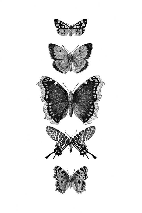 Inked Butterflies