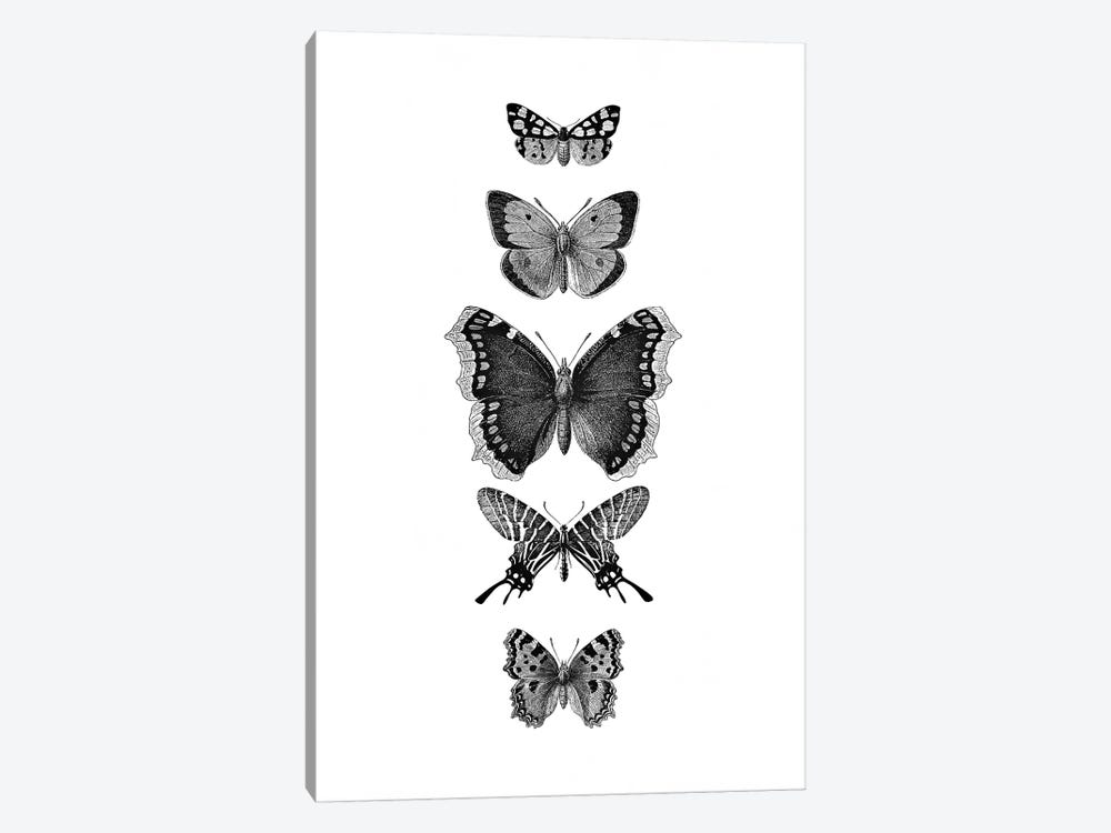 Inked Butterflies by Monika Strigel 1-piece Canvas Print