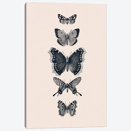 Inked Butterflies Beige Canvas Print #GEL199} by Monika Strigel Canvas Print